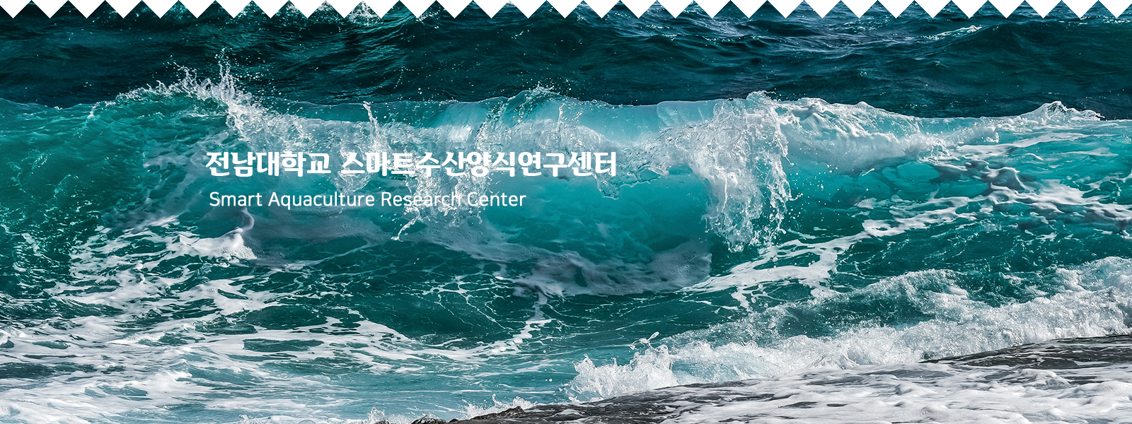 팝업배너1