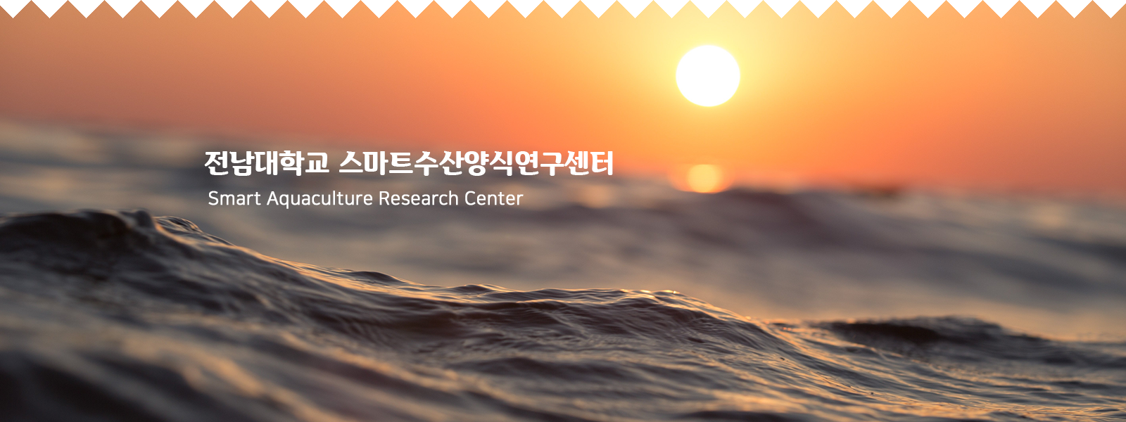 팝업배너2