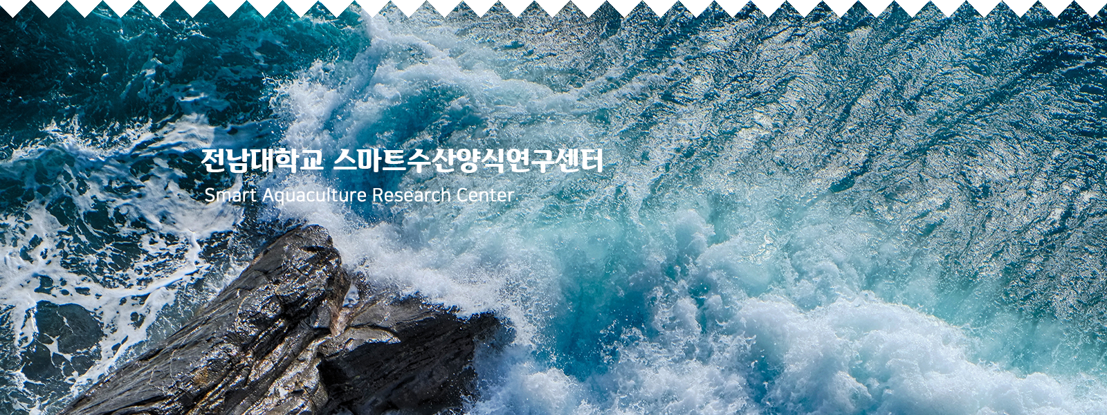 팝업배너3